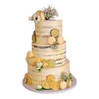 PhotoRoom-20240126_094404