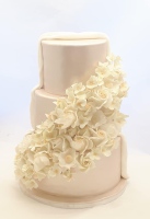 69266784_3258336880858265_4981616104297201664_n