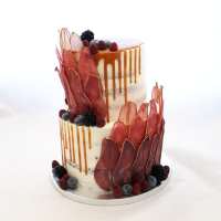 70585616_2392638530813148_6718582027911692288_n