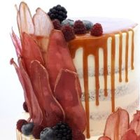 71262135_2392638600813141_347098215817936896_n