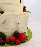 104442105_3023369277740067_3798783026213129227_o