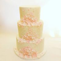 119827378_3285504744859851_5862097451183802106_o