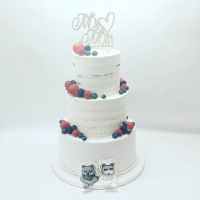 118740252_238573944136899_3599971129755187615_n