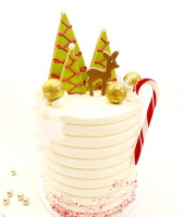 125352475_5058860697472532_8142145756602785542_n