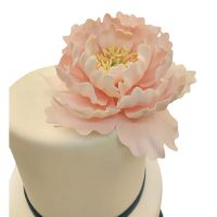 277757673_4949272675149708_4206140110104552307_n