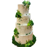 298398837_5318709274872711_3383318126447255246_n