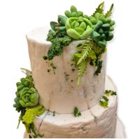 299324421_5318709271539378_1768761835753209678_n