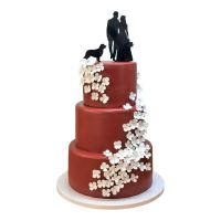 373467943_814413987262922_2061166253802847181_n