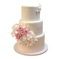 375050189_814413053929682_4981821881366234220_n