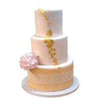 448936535_1010266764344309_4829353784859092564_n