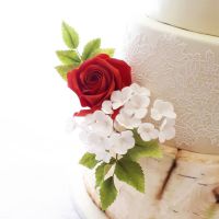 70372212_2403372869739714_4952539789883604992_o