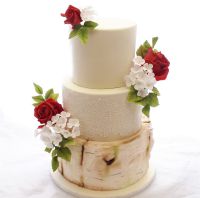 70443810_2403372799739721_7585608970035789824_o