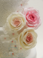 DSCN2361_(2)