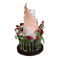 PhotoRoom-20240122_142036