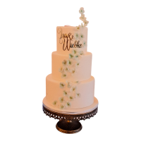 PhotoRoom-20240131_085253