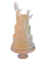 Photoroom-20250522_211913_11