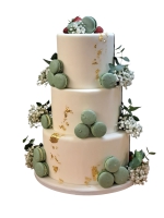 Photoroom-20250525_162514_5