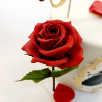 158974392_3752106164866371_527497970498508319_n