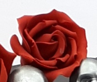 20180316_131737  closeup