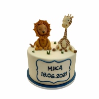 201909697_4044434055633579_426902976487998467_n