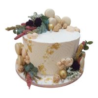 337281642_244954327971719_361775982543435669_n