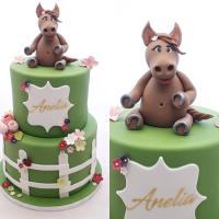 61913432_2227557107321292_7718208534747283456_n