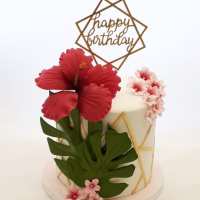 68961889_2361164250627243_4766216691174604800_n