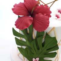 69455628_2361164290627239_211421079405592576_n