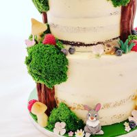 89056502_2778291958914468_2489138564000907264_o