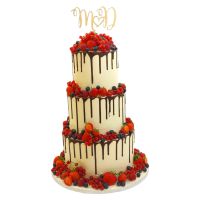 296904240_5280518745358431_7055717058883240199_n