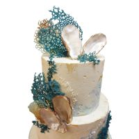 350127464_671181961485295_7786921910556232473_n