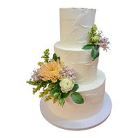 365847984_796821219022199_6098717789993277862_n