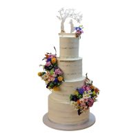 367395303_801562625214725_7601390831457005572_n