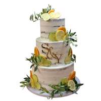 503009934_18166371121355799_528262188664277360_n