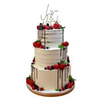 503144231_18166371070355799_3059682002487766401_n