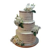 508394320_18167878717355799_3017017525949785059_n