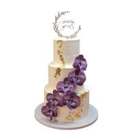 517158012_18169757062355799_797282954455357662_n