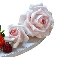 527470195_18172412014355799_7608136810194093618_n