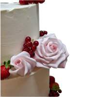 527488119_18172412032355799_3410021876162475583_n