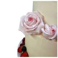 528037283_18172412023355799_8507158103966593590_n